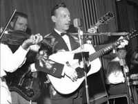 pochette album I threw away the rose