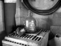 pochette album Dinosaur