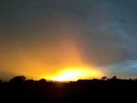 pochette album Removing the shadow