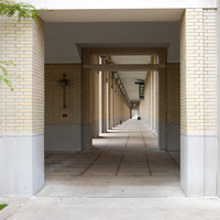 pochette album Arcadia