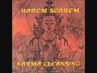 pochette album Karma cleansing