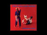 pochette album Muoviruusuja omenapuissa