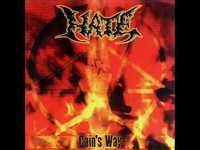 pochette album Through hate to eternity