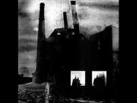 pochette album I kill to survive