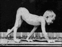 pochette album No right to live