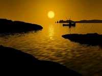 pochette album Fourteen