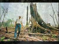 pochette album We took the wrong step years ago