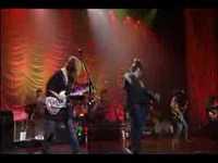 pochette album Sister wild rose