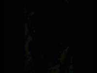 pochette album Grow young