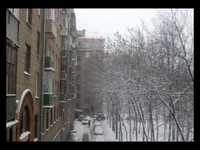 pochette album Winter blue