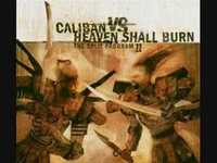 pochette album No one will shed a tear