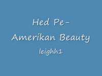 pochette album Amerikan beauty