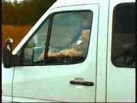 pochette album Scapegoat revolution