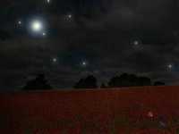 pochette album Ich denk an dich