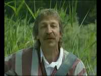 pochette album Les petits canards