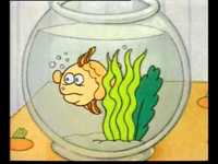 pochette album Y'a y'a un poisson