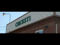 pochette album Amused by dad