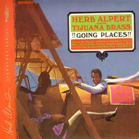 pochette album 3rd man theme