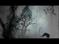 pochette album Sweet bird