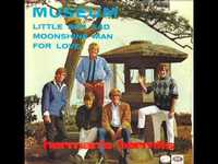 pochette album Moonshine man