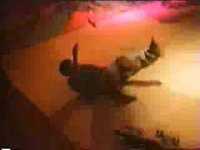 pochette album My sweet dog