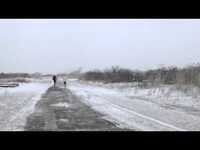 pochette album Movement