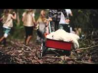 pochette album Born is the king