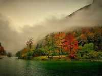 pochette album Carry me