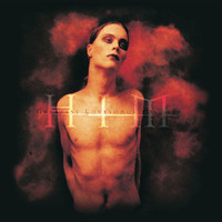 pochette album Wicked game