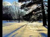 pochette album End of me