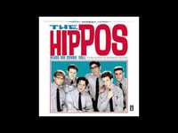 pochette album Struggling