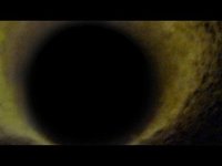 pochette album Exhaust fumes