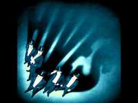 pochette album These spectacles reveal the nostalgics