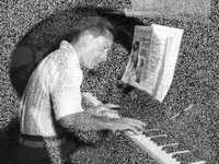 pochette album Nearness of you