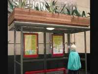 pochette album Bus stop