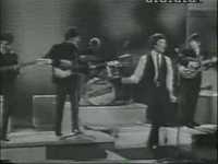 pochette album Too much monkey business