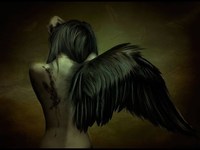 pochette album The fall