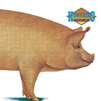 pochette album En mi coche