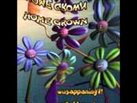 pochette album Hanging out