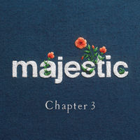 pochette album The night