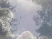 pochette album Heaven laughs