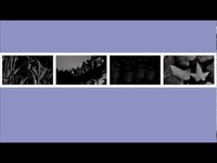 pochette album A new day