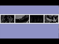 pochette album A winter's rose