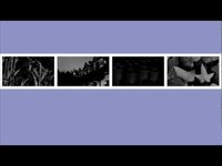 pochette album Comfort