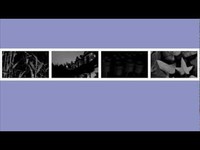 pochette album In reflection