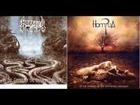 pochette album Dying forest