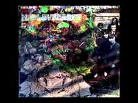 pochette album Gloria patria