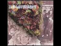 pochette album The drifter