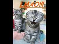 pochette album You crack me up