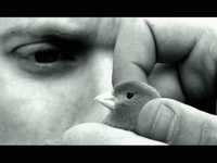 pochette album Life kills